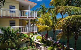 Marina Del Mar Resort Key Largo Fl